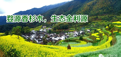 金利源板材/金品質(zhì) 源生態(tài).從源頭精挑細(xì)選，為品質(zhì)保駕護(hù)航——中國板材十大品牌品質(zhì)篇